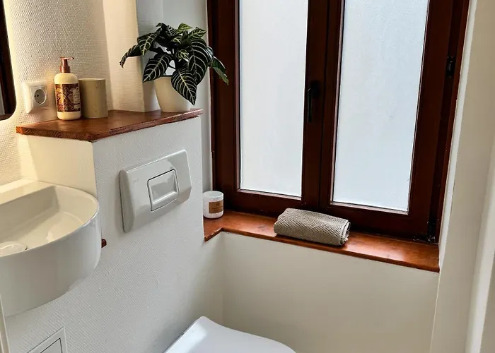 Jupas - Premium * Treviri